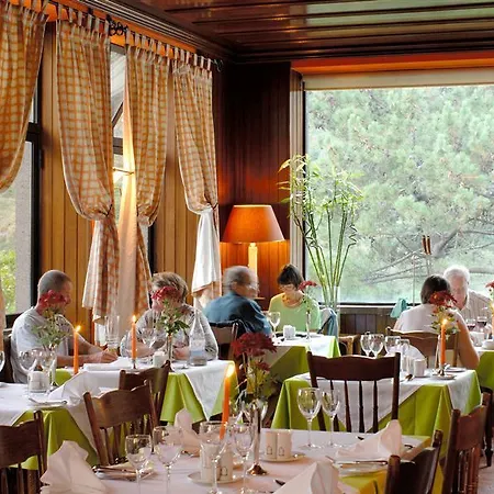 Hotel Dorisol Dos Vinhaticos