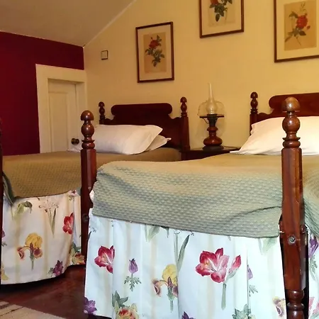 Dorisol Dos Vinhaticos Hotel 4*